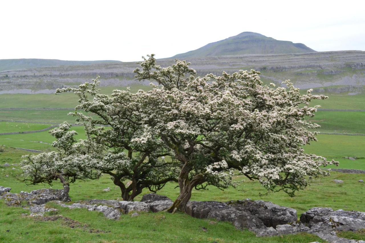 Dalecote Barn Bed & Breakfast Ingleton  Kültér fotó